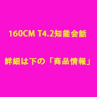 ラブドールランキング札幌